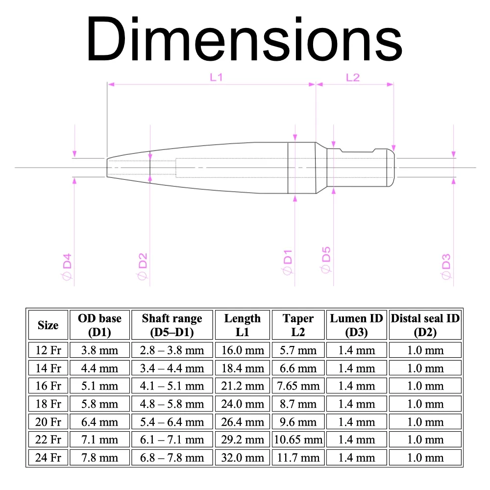 Dimension_1.webp
